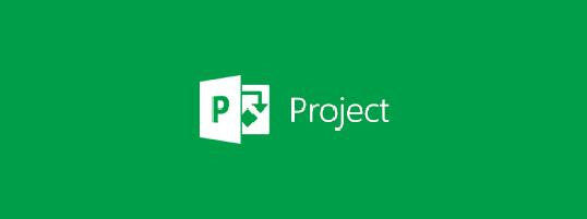 Microsoft Project Online Professional Open License 1 licens(er)