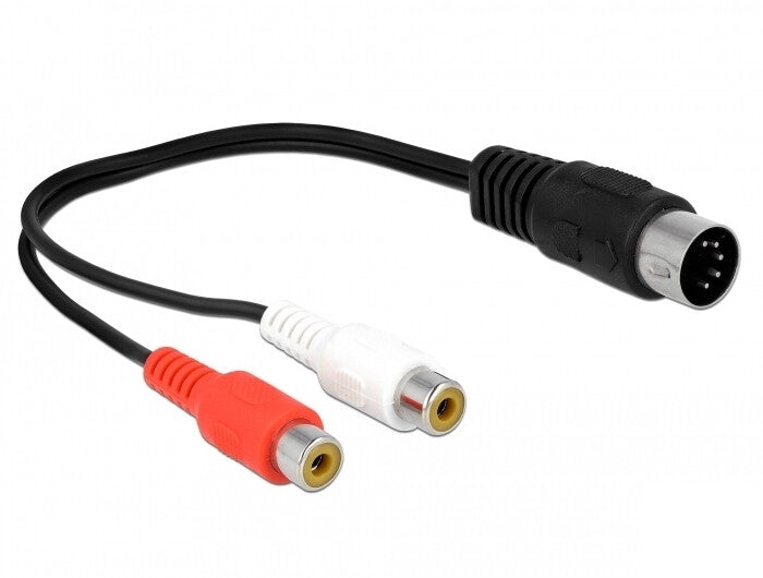 DeLOCK 85835 lydkabel 0,2 m DIN (5-pin) 2 x RCA Sort