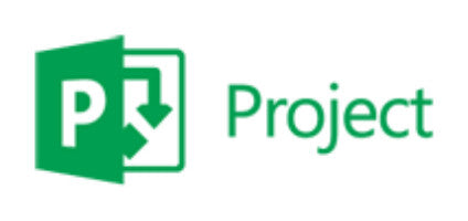 Microsoft Project Professional, 1Y, Level D, Government, Additional Product Government (GOV) 1 År