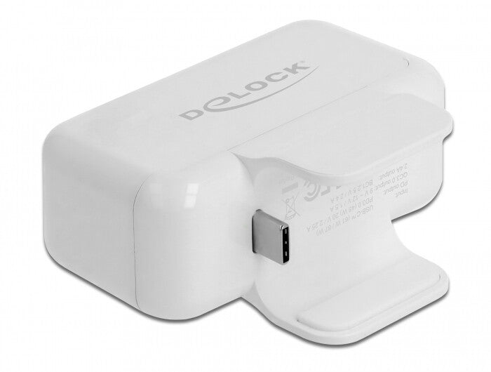 DeLOCK 64079 interface hub USB 3.2 Gen 1 (3.1 Gen 1) Type-C Hvid
