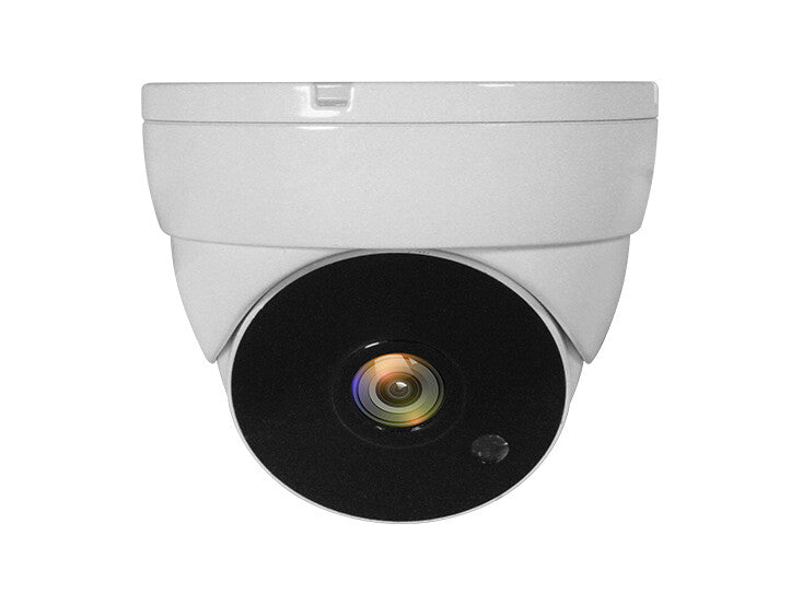 LevelOne ACS-5302 overvågningskamera Kuppel CCTV sikkerhedskamera Indendørs & udendørs Loft