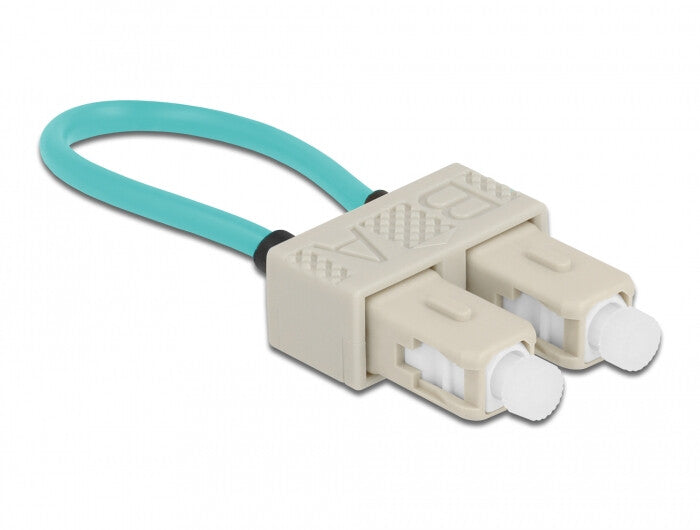 DeLOCK 86923 InfiniBand og fiberoptisk kabel 0,065 m SC OFC Beige
