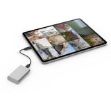 LaCie STKS1000400 ekstern solid state driver Thunderbolt-teknologi 1 TB USB Type-C 3.2 Gen 2 (3.1 Gen 2) Sølv