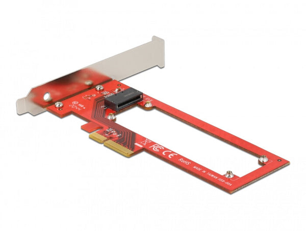 DeLOCK 90055 interface-kort/adapter Intern E1.S