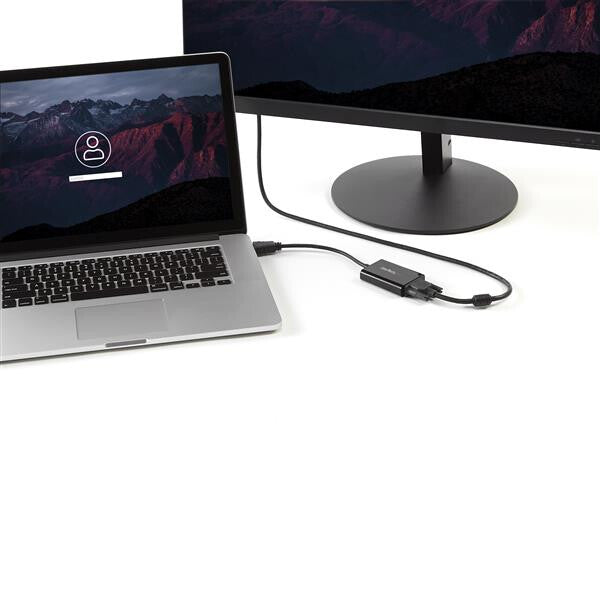 StarTech.com HD2VGAA2 videokabel adapter Sort