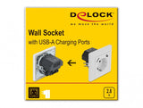 DeLOCK 11473 stikkontakt 2 x USB + CEE 7/3 Hvid