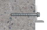 Fischer 536865 skrue/bolt 160 mm 50 stk