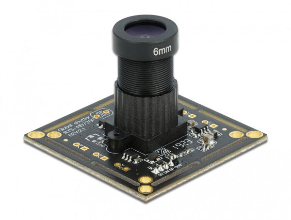DeLOCK 96397 skjult kamera Sort