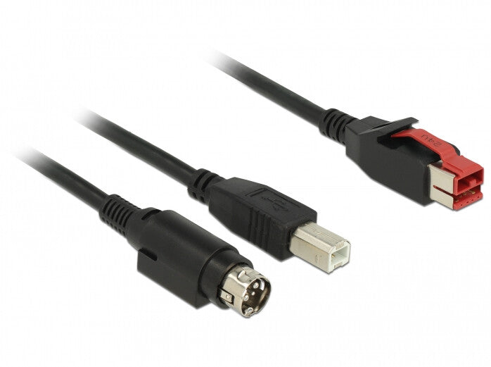 DeLOCK 85489 USB-kabel USB 2.0 3 m USB B 0,48 Gbit/sek. Sort