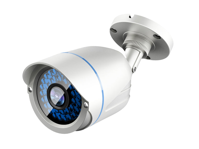 LevelOne ACS-5602 overvågningskamera Kugle (form) CCTV sikkerhedskamera Udendørs Loft/væg