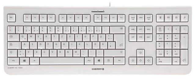 CHERRY KC 1000 tastatur Hjem USB Schweizisk Grå