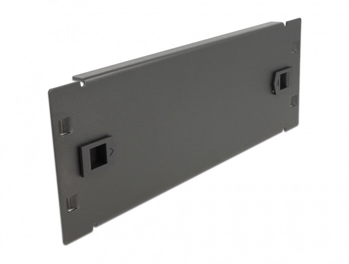 DeLOCK 66578 tilbehør til rack Blindpanel