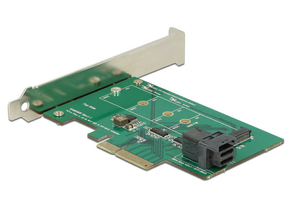 DeLOCK 89517 interface-kort/adapter Intern M.2