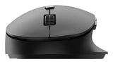 Philips SPK7507B/00 mus Kontor Højre hånd RF trådløst Optisk 3200 dpi