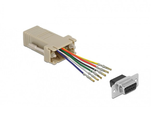 DeLOCK 66759 kabel kønsskifter D-Sub 9 pin RJ12 Grå