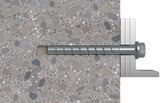 Fischer 536856 skrue/bolt 110 mm 50 stk