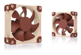 Noctua NF-A8 PWM Computerkølesystem Computerkabinet Ventilator 8 cm Beige, Brun