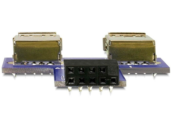 DeLOCK 9-pin 2.54 mm/2 x USB 2.0 1 x 9-pin 2.54 mm 2 x USB 2.0-A Sort, Blå, Sølv