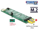 DeLOCK 63917 interface-kort/adapter Intern M.2