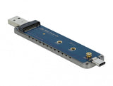 DeLOCK 42616 drevkabinet SSD kabinet Sølv M.2