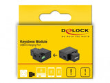 DeLOCK 86505 kilesten modul