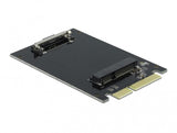 DeLOCK SATA 22 pin male to mSATA slot interface-kort/adapter Intern