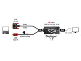 DeLOCK 0.3m, DVI 24+1 + USB-A/Displayport 20p 0,3 m DVI-D + USB HDMI Sort
