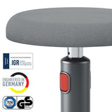 Leitz Ergo Cosy Active Sid-stå balancestol 2 i 1