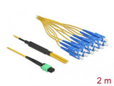 DeLOCK 84871 InfiniBand og fiberoptisk kabel 2 m MPO 12x SC Blå, Grøn, Gul