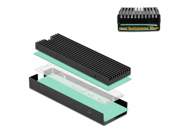 DeLOCK 18353 Computerkølesystem Solid-state drev Køleplade/køler Sort 1 stk