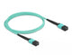 DeLOCK 86957 InfiniBand og fiberoptisk kabel 2 m MPO Turkisfarve
