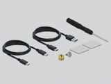 DeLOCK 42620 drevkabinet SSD kabinet Blå M.2