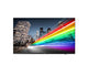 Philips 55BFL2214/12 skilte display 139,7 cm (55") LED Wi-Fi 350 cd/m² 4K Ultra HD Sort Android TV