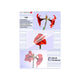 Olympia 1x100 DIN A5 125 micron plastlomme 100 stk