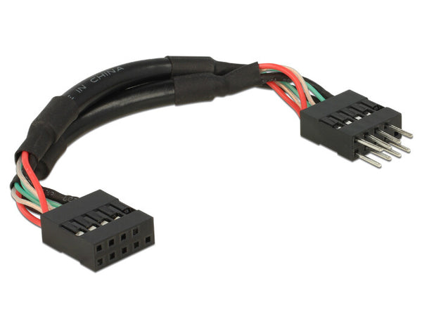 DeLOCK 0.1m 2xUSB2.0 10p