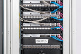 Digitus DN-19 BPN-01-SW tilbehør til rack