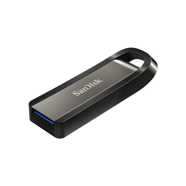 SanDisk Extreme Go USB-nøgle 256 GB USB Type-A 3.2 Gen 1 (3.1 Gen 1) Rustfrit stål
