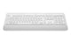 Logitech Signature K650 tastatur Kontor Bluetooth QWERTZ Tysk Hvid