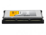 DeLOCK 54065 hukommelseskort 128 GB CFexpress TLC