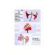 Olympia 1x100 DIN A6 125 micron plastlomme 100 stk