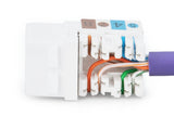 Digitus DN-93601 kilesten modul