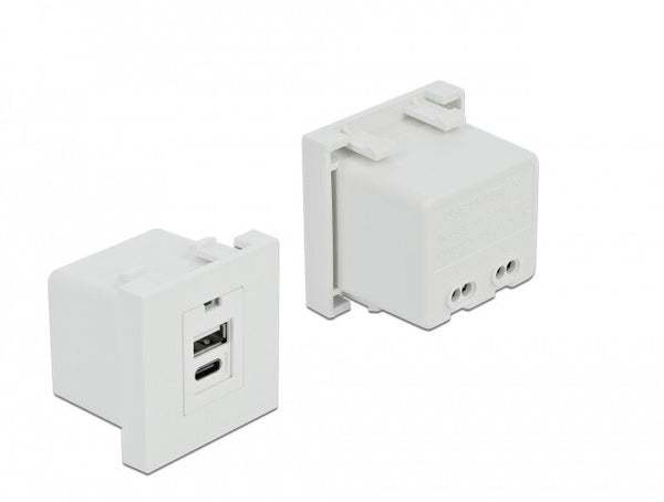 DeLOCK 81313 stikkontakt USB A + USB C Hvid