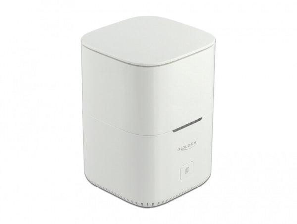 DeLOCK 63331 drevkabinet SSD kabinet Hvid M.2