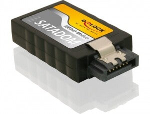 DeLOCK 54351 intern solid state drev 2 GB