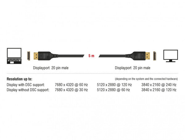 DeLOCK 85658 DisplayPort kabel 1 m Sort