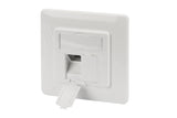 Digitus DN-93831 kontaktplade & kontakthætte Hvid