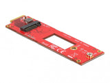 DeLOCK 63797 interface-kort/adapter Intern E1.S