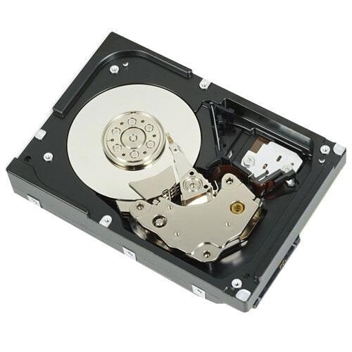 DELL 529FG harddisk 4 TB 7200 rpm 3.5" SAS