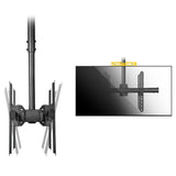 StarTech.com FPCEILBTB skærmbeslag til skiltning 190,5 cm (75") Sort