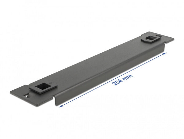 DeLOCK 66576 tilbehør til rack Blindpanel